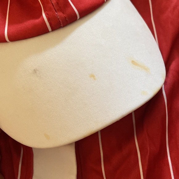 HOMERUN HITTER COSTUME. - Picture 5 of 7